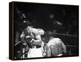 Cassius M. Clay and Sonny Liston During World Championship Fight-Ralph Morse-Framed Premier Image Canvas