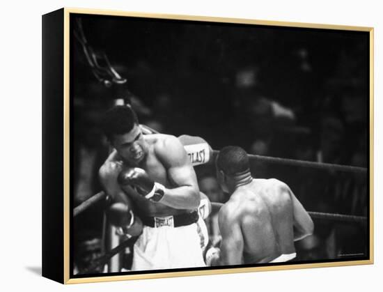 Cassius M. Clay and Sonny Liston During World Championship Fight-Ralph Morse-Framed Premier Image Canvas