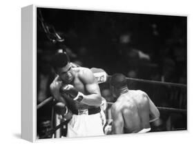 Cassius M. Clay and Sonny Liston During World Championship Fight-Ralph Morse-Framed Premier Image Canvas