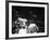 Cassius M. Clay and Sonny Liston During World Championship Fight-Ralph Morse-Framed Premium Photographic Print