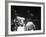 Cassius M. Clay and Sonny Liston During World Championship Fight-Ralph Morse-Framed Premium Photographic Print