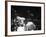 Cassius M. Clay and Sonny Liston During World Championship Fight-Ralph Morse-Framed Premium Photographic Print