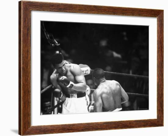 Cassius M. Clay and Sonny Liston During World Championship Fight-Ralph Morse-Framed Premium Photographic Print