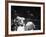 Cassius M. Clay and Sonny Liston During World Championship Fight-Ralph Morse-Framed Premium Photographic Print