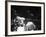 Cassius M. Clay and Sonny Liston During World Championship Fight-Ralph Morse-Framed Premium Photographic Print