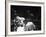 Cassius M. Clay and Sonny Liston During World Championship Fight-Ralph Morse-Framed Premium Photographic Print