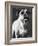 Cassius-Rachael Hale-Framed Photo