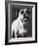 Cassius-Rachael Hale-Framed Photo