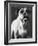 Cassius-Rachael Hale-Framed Photo