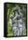 Cast iron allegories in City Hall Garden, Epernay, Champagne, France-Lisa S. Engelbrecht-Framed Premier Image Canvas