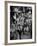 Cast Members of the Grand Ole Opry-Yale Joel-Framed Photographic Print