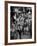 Cast Members of the Grand Ole Opry-Yale Joel-Framed Photographic Print