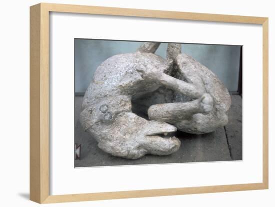 Cast of a chained dog from Pompeii, 1st century-Unknown-Framed Giclee Print