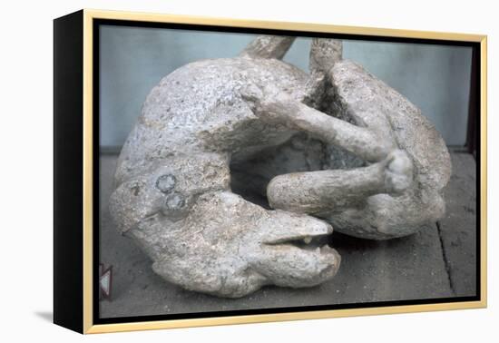 Cast of a chained dog from Pompeii, 1st century-Unknown-Framed Premier Image Canvas