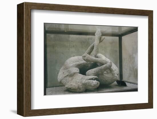 Cast of Dog, Pompeii, Campania, Italy-Walter Rawlings-Framed Photographic Print