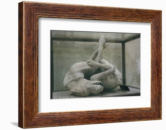 Cast of Dog, Pompeii, Campania, Italy-Walter Rawlings-Framed Photographic Print