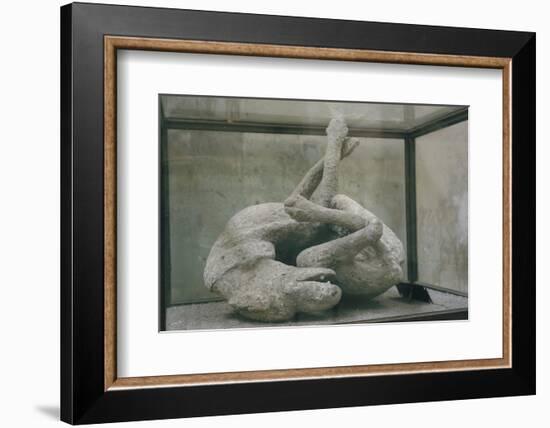Cast of Dog, Pompeii, Campania, Italy-Walter Rawlings-Framed Photographic Print