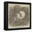 Cast of Shakespeare's Face-null-Framed Premier Image Canvas