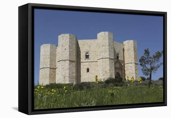 Castel Del Monte, Octagonal Castle, Built for Emperor Frederick Ii in the 1240S, Apulia, Italy-Stuart Forster-Framed Premier Image Canvas