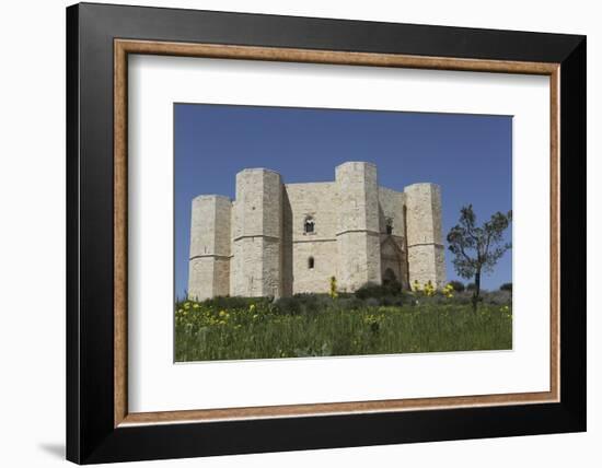 Castel Del Monte, Octagonal Castle, Built for Emperor Frederick Ii in the 1240S, Apulia, Italy-Stuart Forster-Framed Photographic Print