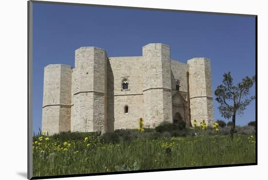 Castel Del Monte, Octagonal Castle, Built for Emperor Frederick Ii in the 1240S, Apulia, Italy-Stuart Forster-Mounted Photographic Print