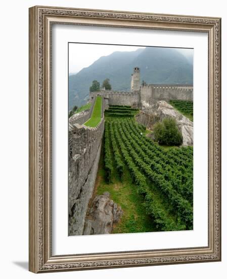 Castelgrande Vineyards and Fortified Walls, Bellinzona, Switzerland-Lisa S. Engelbrecht-Framed Photographic Print