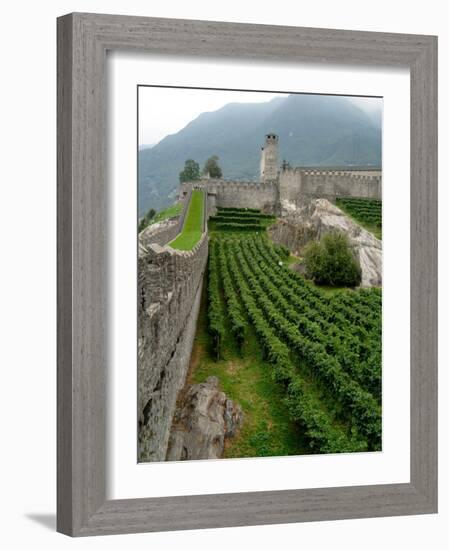 Castelgrande Vineyards and Fortified Walls, Bellinzona, Switzerland-Lisa S. Engelbrecht-Framed Photographic Print