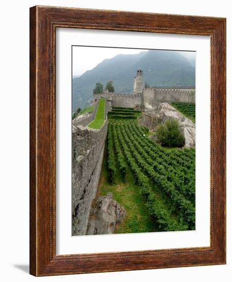 Castelgrande Vineyards and Fortified Walls, Bellinzona, Switzerland-Lisa S. Engelbrecht-Framed Photographic Print