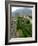 Castelgrande Vineyards and Fortified Walls, Bellinzona, Switzerland-Lisa S. Engelbrecht-Framed Photographic Print