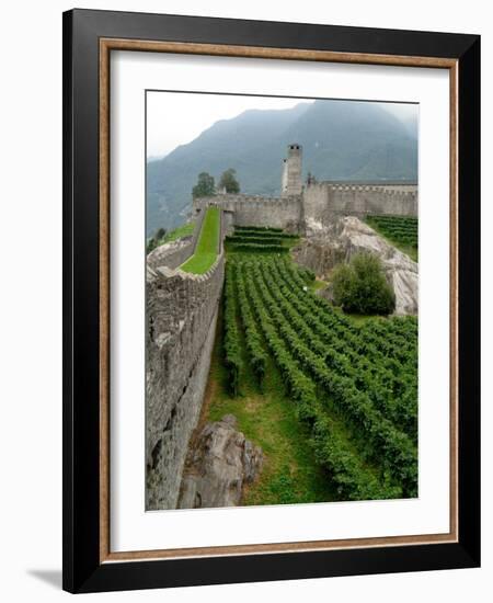 Castelgrande Vineyards and Fortified Walls, Bellinzona, Switzerland-Lisa S. Engelbrecht-Framed Photographic Print