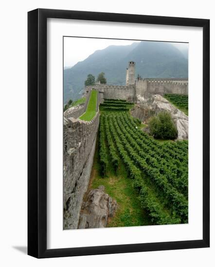 Castelgrande Vineyards and Fortified Walls, Bellinzona, Switzerland-Lisa S. Engelbrecht-Framed Photographic Print