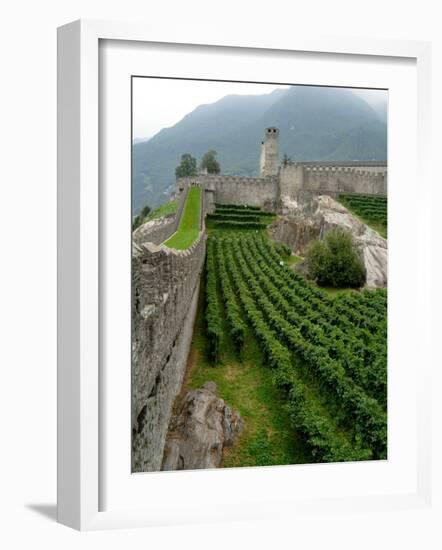 Castelgrande Vineyards and Fortified Walls, Bellinzona, Switzerland-Lisa S. Engelbrecht-Framed Photographic Print