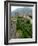 Castelgrande Vineyards and Fortified Walls, Bellinzona, Switzerland-Lisa S. Engelbrecht-Framed Photographic Print