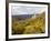 Castell Coch, Tongwynlais, Cardiff, South Wales, Wales, United Kingdom, Europe-Billy Stock-Framed Photographic Print