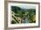 Castella, California - Aerial View of the Sacramento River and Mount Shasta from the Town, c.1936-Lantern Press-Framed Art Print