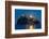 Castello Aragonese at dusk, Island of Ischia, Campania, Italy, Europe-Neil Farrin-Framed Photographic Print