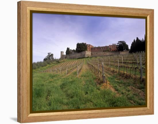 Castello Di Brolio and Famous Vineyards, Brolio, Chianti, Tuscany, Italy, Europe-Patrick Dieudonne-Framed Premier Image Canvas