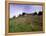 Castello Di Brolio and Famous Vineyards, Brolio, Chianti, Tuscany, Italy, Europe-Patrick Dieudonne-Framed Premier Image Canvas