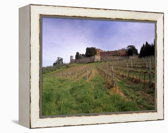 Castello Di Brolio and Famous Vineyards, Brolio, Chianti, Tuscany, Italy, Europe-Patrick Dieudonne-Framed Premier Image Canvas