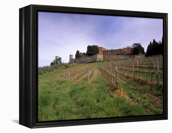 Castello Di Brolio and Famous Vineyards, Brolio, Chianti, Tuscany, Italy, Europe-Patrick Dieudonne-Framed Premier Image Canvas