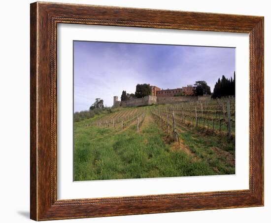 Castello Di Brolio and Famous Vineyards, Brolio, Chianti, Tuscany, Italy, Europe-Patrick Dieudonne-Framed Photographic Print