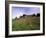 Castello Di Brolio and Famous Vineyards, Brolio, Chianti, Tuscany, Italy, Europe-Patrick Dieudonne-Framed Photographic Print