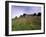 Castello Di Brolio and Famous Vineyards, Brolio, Chianti, Tuscany, Italy, Europe-Patrick Dieudonne-Framed Photographic Print