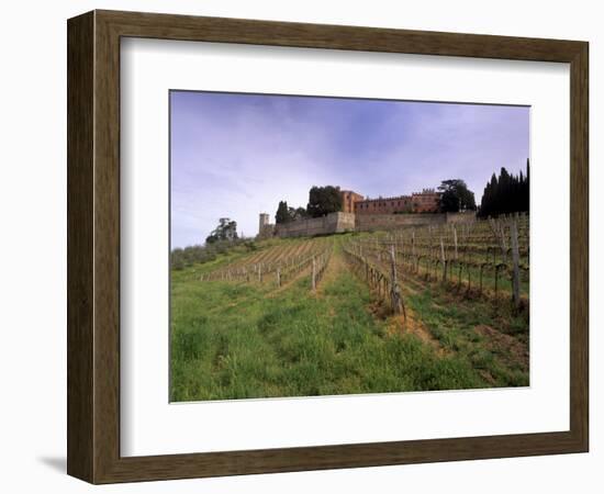Castello Di Brolio and Famous Vineyards, Brolio, Chianti, Tuscany, Italy, Europe-Patrick Dieudonne-Framed Photographic Print