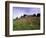 Castello Di Brolio and Famous Vineyards, Brolio, Chianti, Tuscany, Italy, Europe-Patrick Dieudonne-Framed Photographic Print