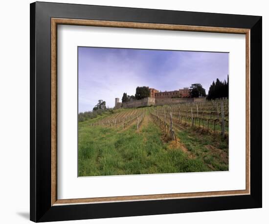 Castello Di Brolio and Famous Vineyards, Brolio, Chianti, Tuscany, Italy, Europe-Patrick Dieudonne-Framed Photographic Print