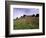 Castello Di Brolio and Famous Vineyards, Brolio, Chianti, Tuscany, Italy, Europe-Patrick Dieudonne-Framed Photographic Print