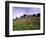 Castello Di Brolio and Famous Vineyards, Brolio, Chianti, Tuscany, Italy, Europe-Patrick Dieudonne-Framed Photographic Print