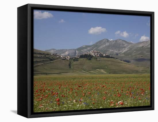 Castelluccio Di Norcia, Norcia, Umbria, Italy, Europe-Angelo Cavalli-Framed Premier Image Canvas