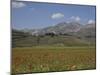 Castelluccio Di Norcia, Norcia, Umbria, Italy, Europe-Angelo Cavalli-Mounted Photographic Print